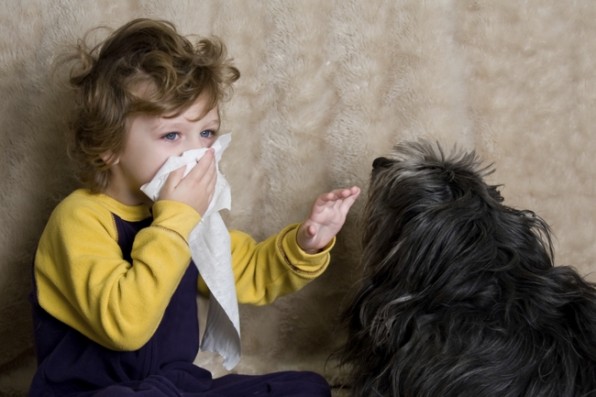 Аллергический ринит у детей, чем лечить насморк